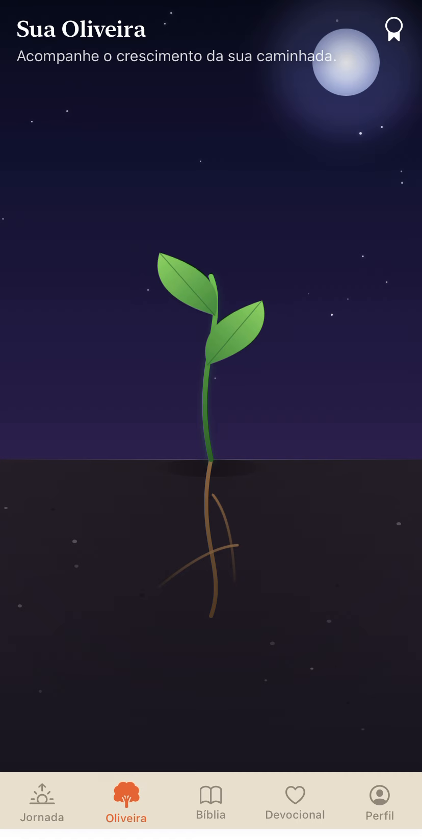 Tela Sua Oliveira do app GloryUp: uma pequena muda verde brotando sob um céu noturno com lua e estrelas, representando o crescimento da constância espiritual.